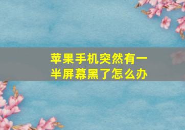 苹果手机突然有一半屏幕黑了怎么办