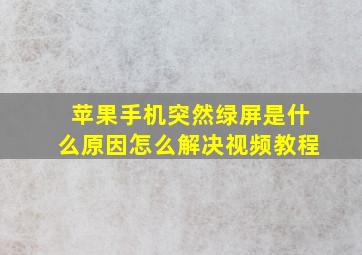 苹果手机突然绿屏是什么原因怎么解决视频教程