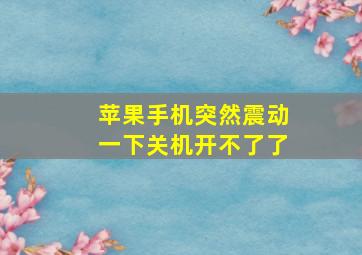 苹果手机突然震动一下关机开不了了