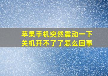 苹果手机突然震动一下关机开不了了怎么回事