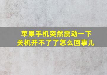 苹果手机突然震动一下关机开不了了怎么回事儿