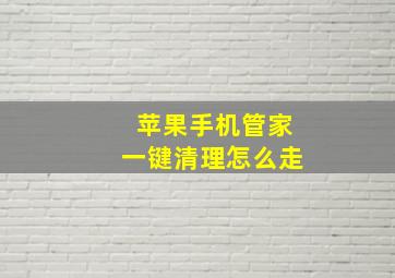 苹果手机管家一键清理怎么走