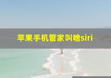 苹果手机管家叫啥siri