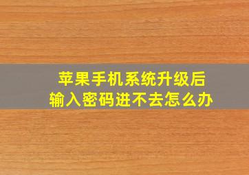 苹果手机系统升级后输入密码进不去怎么办