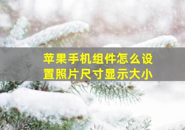 苹果手机组件怎么设置照片尺寸显示大小