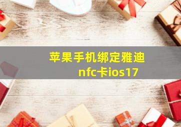 苹果手机绑定雅迪nfc卡ios17