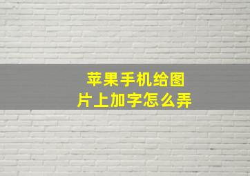 苹果手机给图片上加字怎么弄