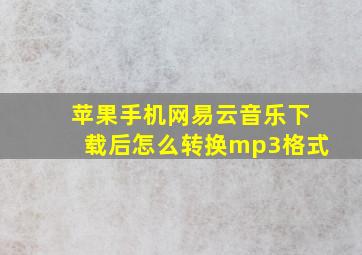 苹果手机网易云音乐下载后怎么转换mp3格式