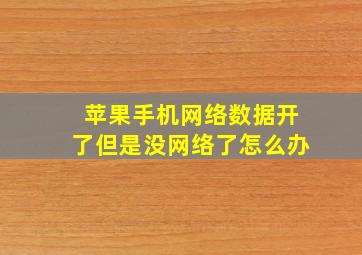 苹果手机网络数据开了但是没网络了怎么办