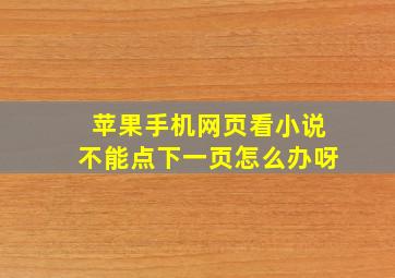 苹果手机网页看小说不能点下一页怎么办呀