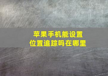 苹果手机能设置位置追踪吗在哪里