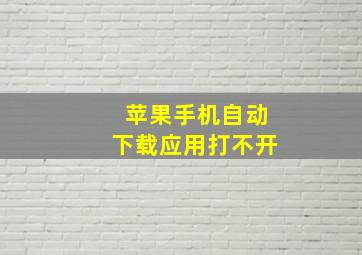 苹果手机自动下载应用打不开