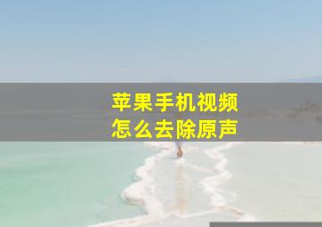 苹果手机视频怎么去除原声