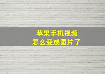 苹果手机视频怎么变成图片了