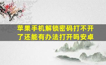 苹果手机解锁密码打不开了还能有办法打开吗安卓