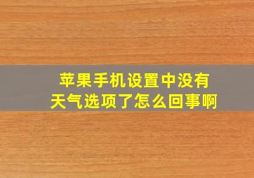 苹果手机设置中没有天气选项了怎么回事啊