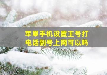 苹果手机设置主号打电话副号上网可以吗