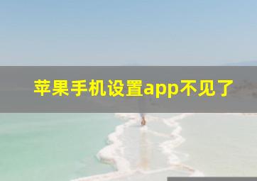 苹果手机设置app不见了