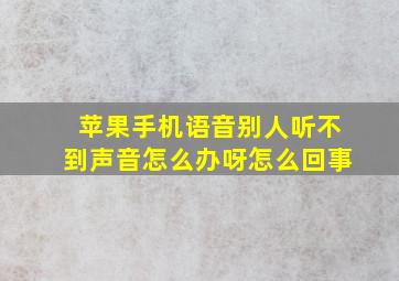 苹果手机语音别人听不到声音怎么办呀怎么回事