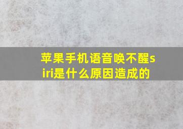 苹果手机语音唤不醒siri是什么原因造成的