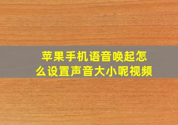 苹果手机语音唤起怎么设置声音大小呢视频