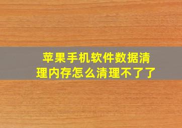 苹果手机软件数据清理内存怎么清理不了了