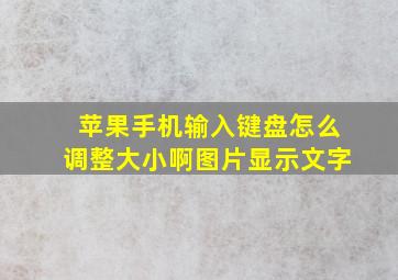 苹果手机输入键盘怎么调整大小啊图片显示文字