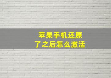 苹果手机还原了之后怎么激活