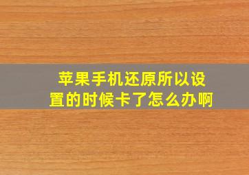 苹果手机还原所以设置的时候卡了怎么办啊