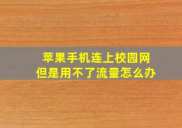 苹果手机连上校园网但是用不了流量怎么办