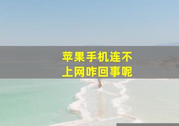 苹果手机连不上网咋回事呢