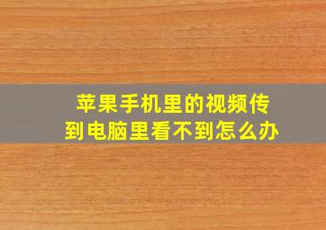 苹果手机里的视频传到电脑里看不到怎么办