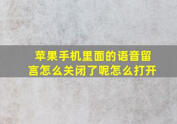 苹果手机里面的语音留言怎么关闭了呢怎么打开