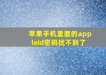 苹果手机里面的appleid密码找不到了