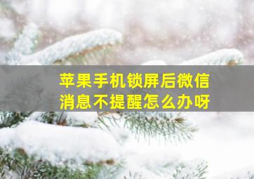 苹果手机锁屏后微信消息不提醒怎么办呀