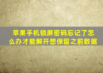 苹果手机锁屏密码忘记了怎么办才能解开想保留之前数据