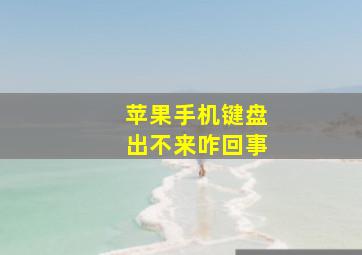 苹果手机键盘出不来咋回事