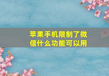 苹果手机限制了微信什么功能可以用