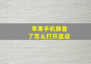 苹果手机静音了怎么打开震动