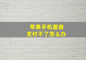 苹果手机面容支付不了怎么办