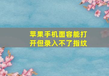 苹果手机面容能打开但录入不了指纹