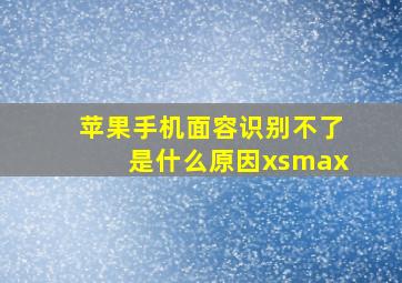 苹果手机面容识别不了是什么原因xsmax