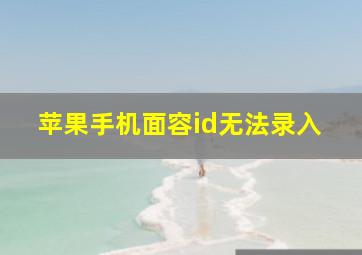 苹果手机面容id无法录入