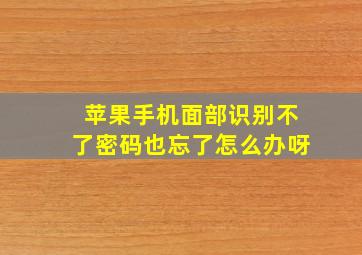 苹果手机面部识别不了密码也忘了怎么办呀