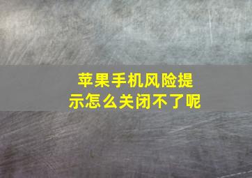 苹果手机风险提示怎么关闭不了呢