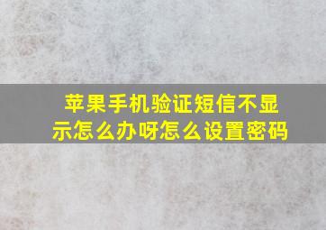 苹果手机验证短信不显示怎么办呀怎么设置密码