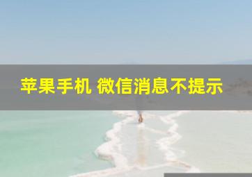 苹果手机 微信消息不提示