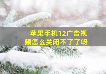 苹果手机12广告视频怎么关闭不了了呀