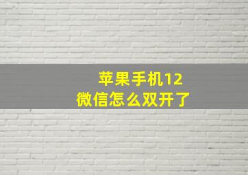 苹果手机12微信怎么双开了