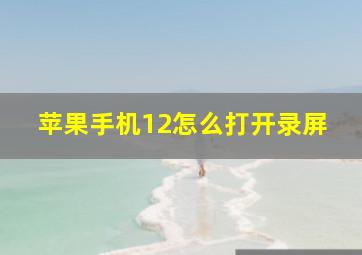 苹果手机12怎么打开录屏